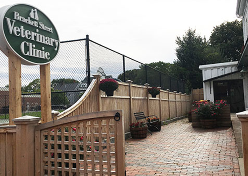 Carousel Slide 12: Brackett Street Veterinary Clinic, Portland